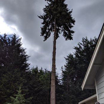 Chinook Tree Service - Tree Services Near Me Chinook Tree Service - Tree Services Near Me