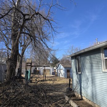 Royal Tree Service - Trimming dead branches off the trees - Tree Services Near Me - Sioux Falls, South Dakota
