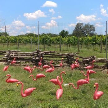 Fall Creek Vineyards - Driftwood - Look for these guys! Turn in - Wineries Near Me - Driftwood, Texas Fall Creek Vineyards - Driftwood - Look for these guys! Turn in - Wineries Near Me - Driftwood, Texas