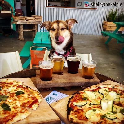 Lucky Bay Brewing by null
