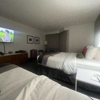 Elk + Avenue Hotel - Hotels Near Me - Banff, Alberta Elk + Avenue Hotel - Hotels Near Me - Banff, Alberta