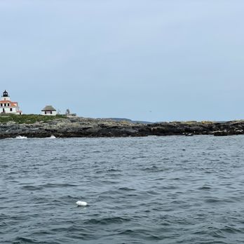 Bar Harbor Whale Watch - Whale Watching Tours Near Me - Bar Harbor, Maine Bar Harbor Whale Watch - Whale Watching Tours Near Me - Bar Harbor, Maine