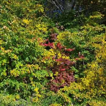 Mackworth Island Trail - Hiking Near Me - Falmouth, Maine