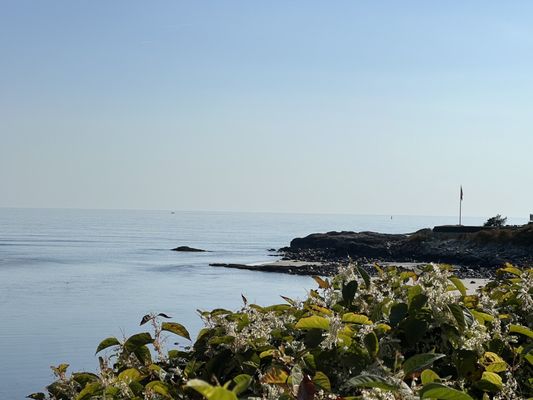 Marginal Way Preservation Fund by null