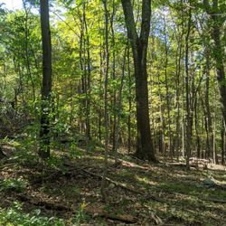 Mount Bushnell State Park