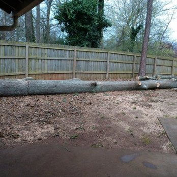 Beaver Tree Service - felled oak - Tree Services Near Me - Kennesaw, Georgia