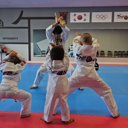 The ONE Taekwondo