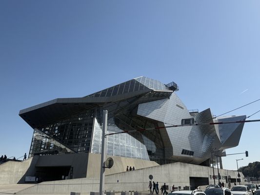 Musée des Confluences by null