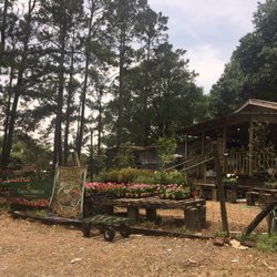Ins-N-Outs Nursery - Outside