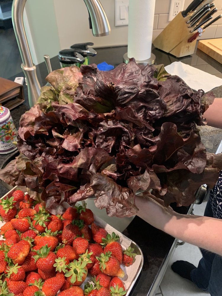 DELANO FARM MARKET 71 Photos & 36 Reviews 351 Needle Eye Ln, Delano