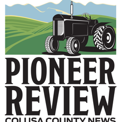 Williams Pioneer Review