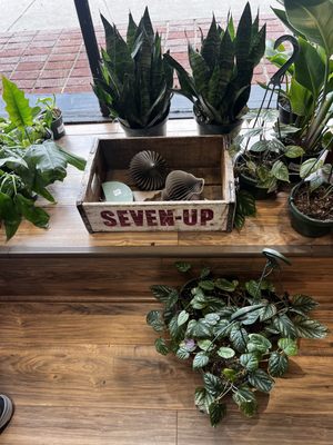 Meraki Market by null