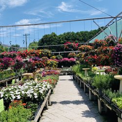 Hart's Greenhouse & Florist