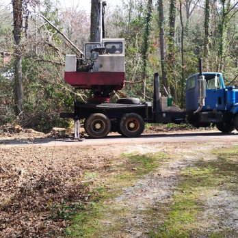 Dennis Burton Tree Services - Tree Services Near Me Dennis Burton Tree Services - Tree Services Near Me