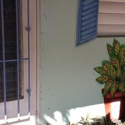Trade Winds Guest House - Outside a room. Paintings everywhere.