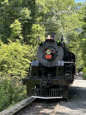 Great Smoky Mountains Railroad by null