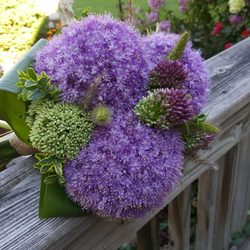 Robert's Floral Design Studio