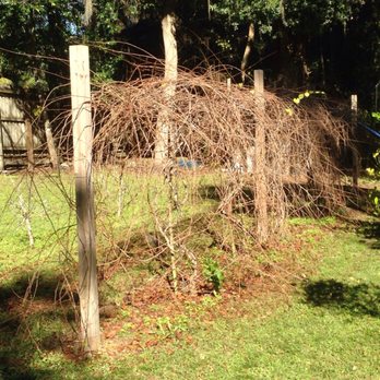 Jared's Yard Care - a wire fence with vines growing on it - Landscaping Near Me