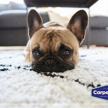 Carpet Now - Ft Worth - A Carpet Store That Comes To You - Carpeting Near Me - Fort Worth, Texas Carpet Now - Ft Worth - A Carpet Store That Comes To You - Carpeting Near Me - Fort Worth, Texas