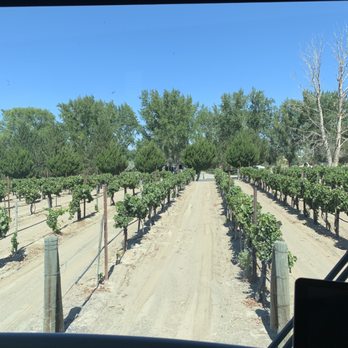Y Knot Winery - Wineries Near Me - Glenns Ferry, Idaho