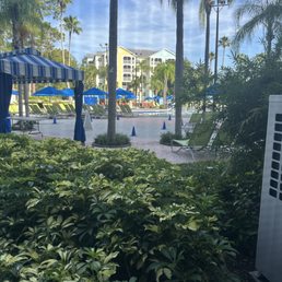 The view from our room