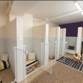 Spot Dog Daycare - Pet Boarding Near Me - New York, New York Spot Dog Daycare - Pet Boarding Near Me - New York, New York