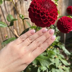 TySon Nails & Spa - White ombré dip by Ty