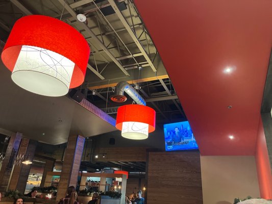 Talking Cedar by null