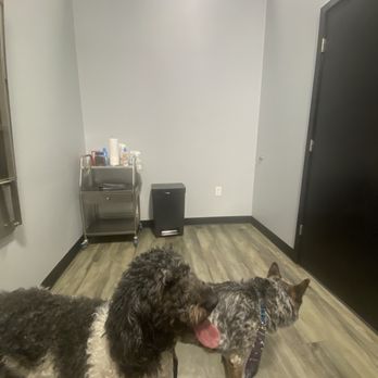 Cheap Pricks - Private Room - Veterinarians Near Me - Valley Park, Missouri