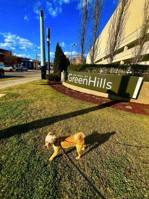 The Mall at Green Hills by null