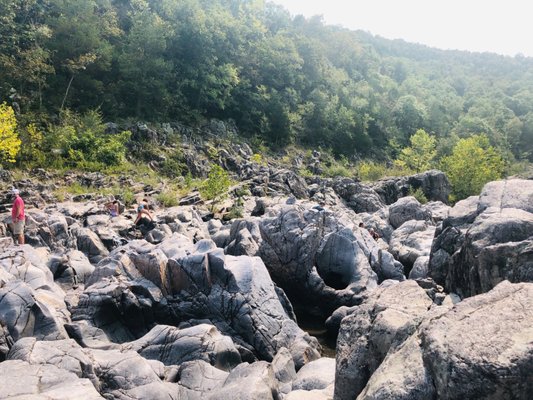 Johnson's Shut-Ins State Park by null