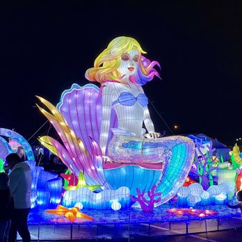 Magical Winter Lights - Festivals Near Me - Rosenberg, Texas Magical Winter Lights - Festivals Near Me - Rosenberg, Texas
