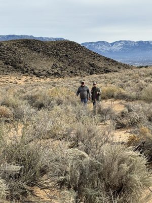 Petroglyph National Monument by null
