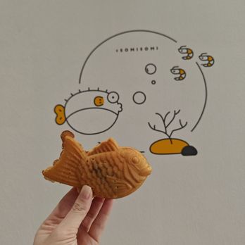 Somisomi - Ice Cream & Frozen Yogurt Near Me - Katy, Texas