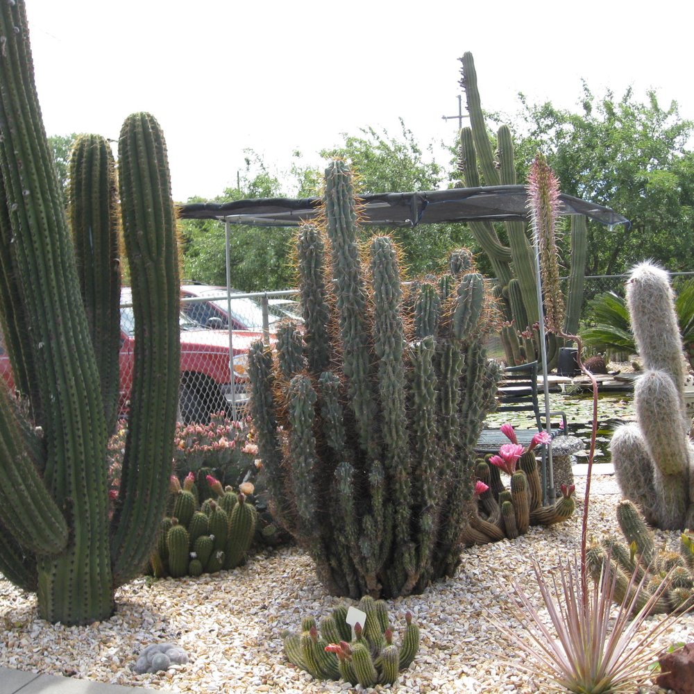 Poot's Cactus Nursery - Nurseries & Gardening Near Me - Ripon, California Poot's Cactus Nursery - Nurseries & Gardening Near Me - Ripon, California
