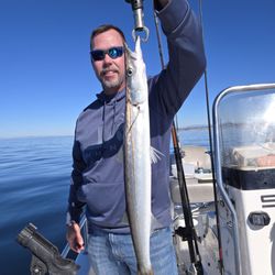 BARRACUDA