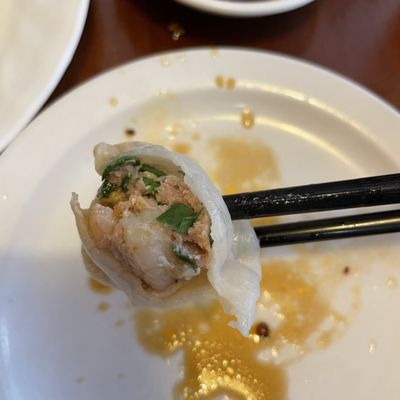 Mother's Dumplings by null