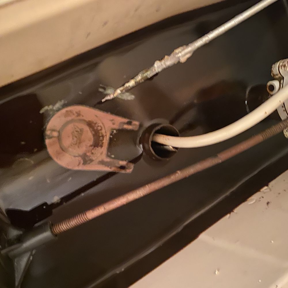 Rodeway Inn - Arm to flush disintegrated - had to manually lift the flap to flush - Hotels Near Me - Jasper, Texas