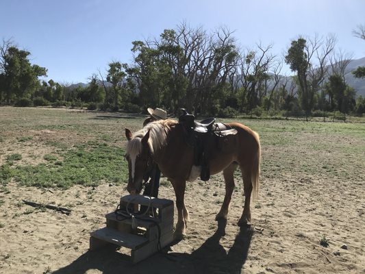 Zapata Ranch by null