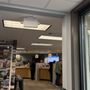 Photo of Eastside Auto Licensing