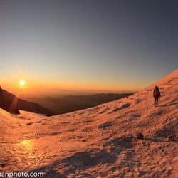 Middle Sister