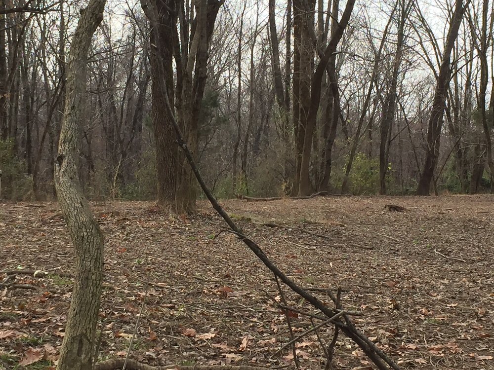 RESERVOIR DOGS PARK Updated September 2024 23 Reviews Fillmore Street & Franklin Ave