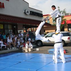Yong-In Lions Martial Arts