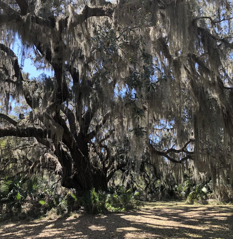 Karen Finan - grief counselor in Jacksonville, FL