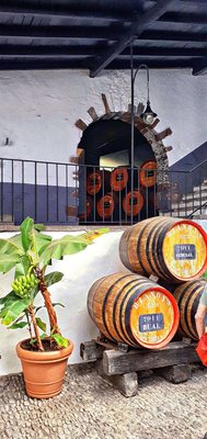 Photo of Blandy's Wine Lodge - Funchal, 30, PT. Weinfässer (06/2022)