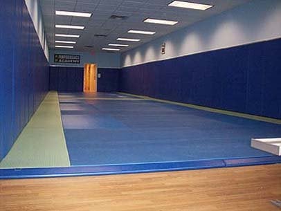 Performance Jiu-Jitsu & Self Defense Academy Logo