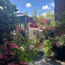 Zenobia Middle Eastern Cuisine - Patio dining