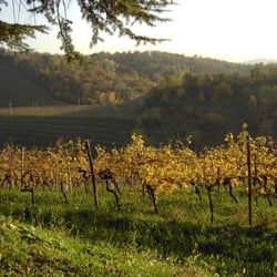 Alla Pineta - Trattoria alla Pineta, Herbst