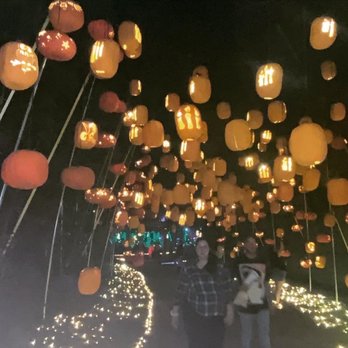 Pumpkin Nights - "Harry Potter theme" - Festivals Near Me - Arlington, Texas Pumpkin Nights - "Harry Potter theme" - Festivals Near Me - Arlington, Texas