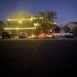 Cactus Christmas Lights - We did the colored lights in the bushes